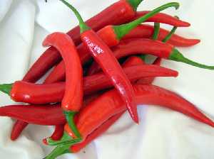 Noche Picante
